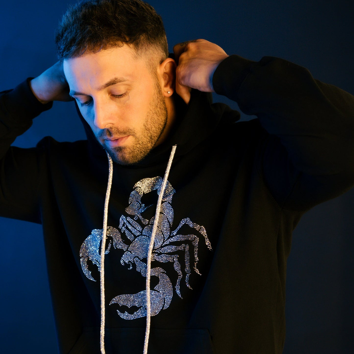 Scorpion Rhinestone Hoodie