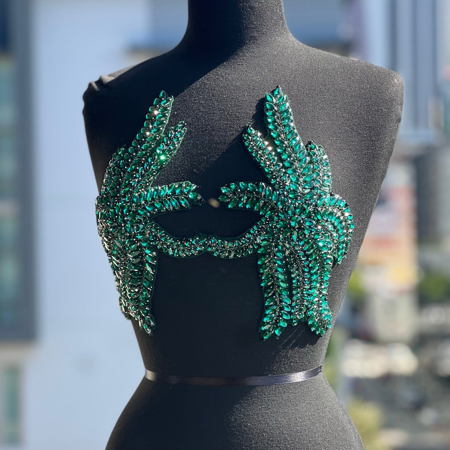 Aarie Rhinestone Applique