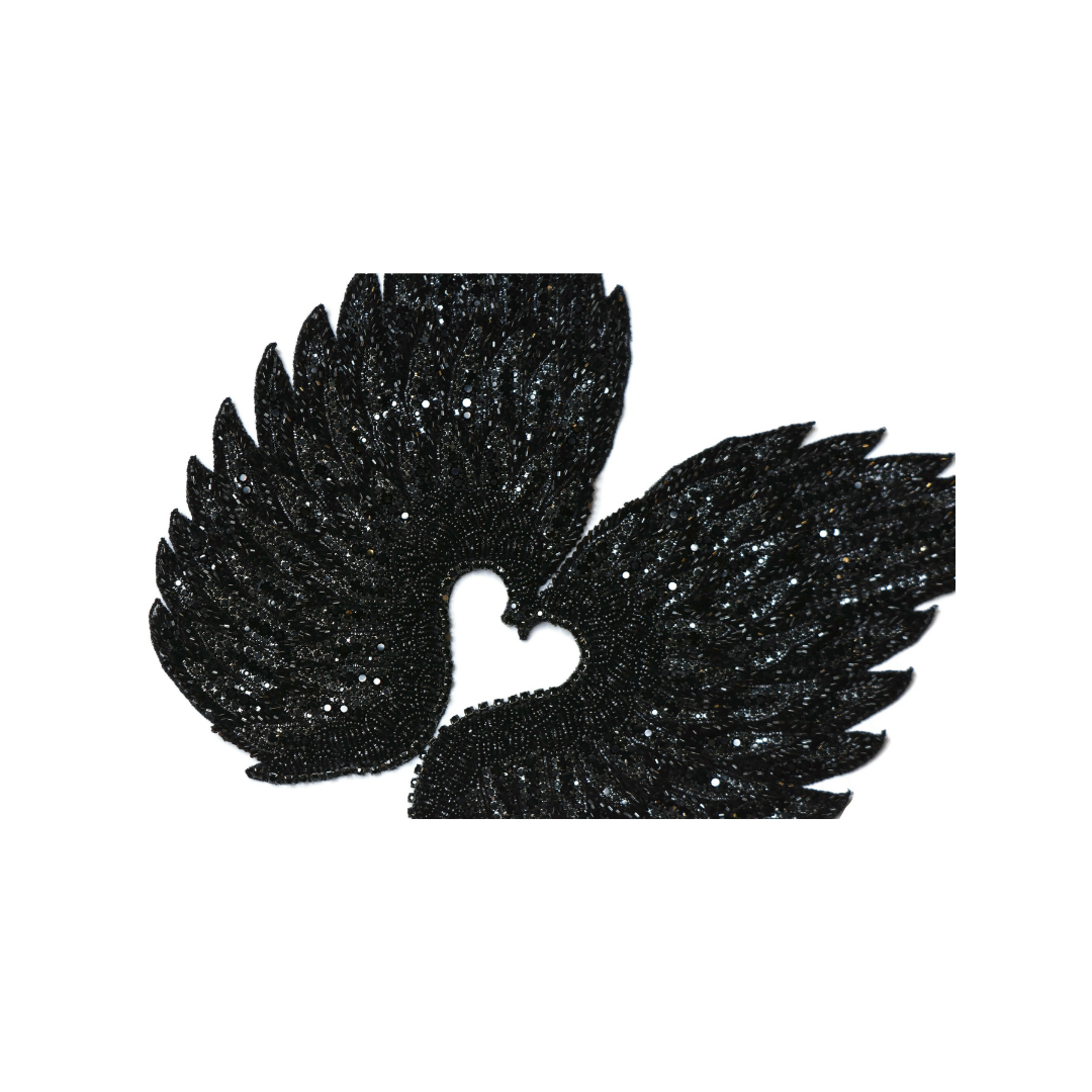 Angel Wings Pair Applique