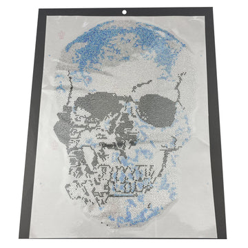 Skull Hotfix Transfer HT-65