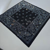 Rhinestone Paisley Bandana
