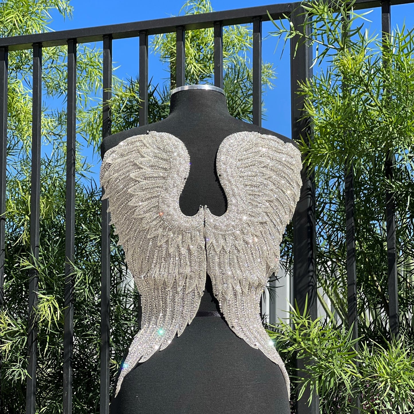 Angel Wings